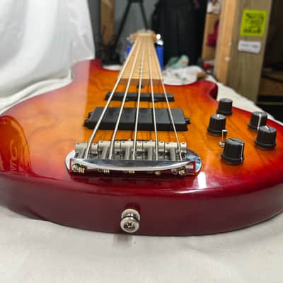 Lakland Skyline Series 55-02 5-String Electric Bass image 18