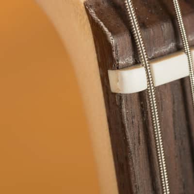 Fender Tom DeLonge Stratocaster - Rosewood - Daphne Blue *B-Stock* image 6