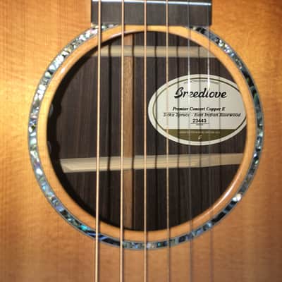 Breedlove Premier Concert Copper E Gloss image 2