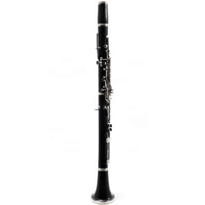 Buffet Crampon R13 Professional Bb Clarinet in Grenadilla SN 414280 image 10