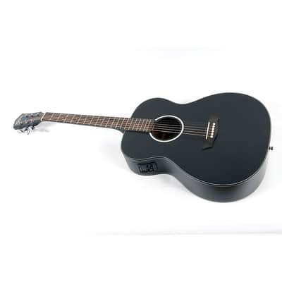 Washburn Deep Forest Ebony FE Acoustic-Electric Guitar Regular Natural Matte image 1