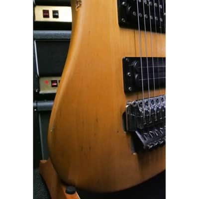 Washburn N2 image 13