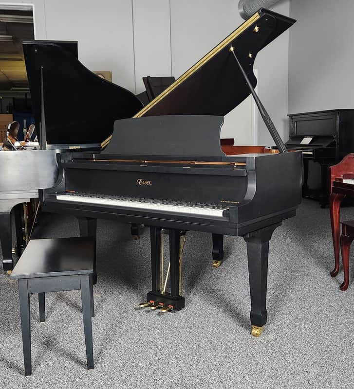 Essex EGP 155 in Satin Ebony 5'1