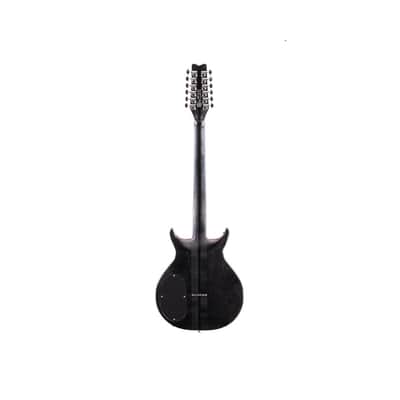 WASHBURN HAWK 12 Electric Classic 70's Era 12-String Wing Series Guitar with FREE Gigbag image 2