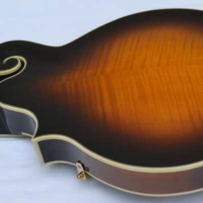 Orpheum OM6SW F-Style Mandolin-All Solid Top, Back & Sides- by Tacoma image 11
