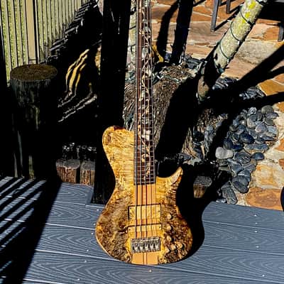 Warrior Isabella 5 string 20th Anniversary Bass 2015 - Very Special Ordered Buckeye Burl & Spalted Maple many factory photos of the build. image 2