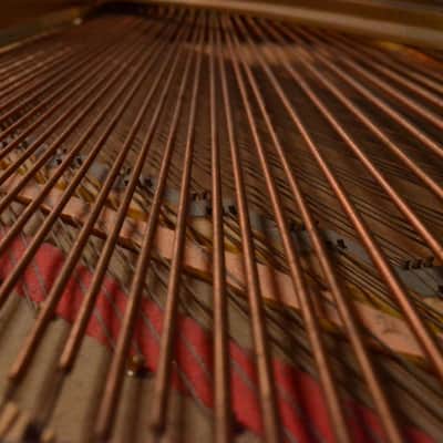 1906 Steinway B7 Classic 7' Grand Piano from Sunset Sound Factory #29919 image 21