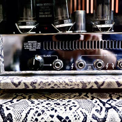 Mesa Boogie Stiletto Trident II Head and 4x12" Cabinet -2011-2012- Snakeskin - Ultra Rare image 21