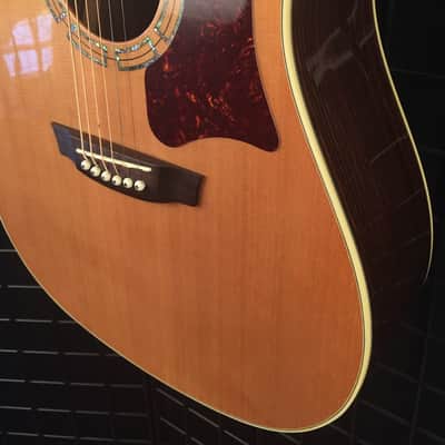 Garrison AG-700 Dreadnought Acoustic Guitar Solid Cedar Top