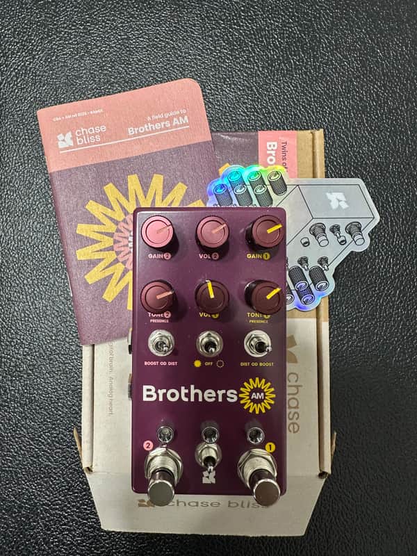 Chase Bliss Audio Brothers AM