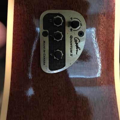 Seagull Artist Series Portrait CW Cutaway Acoustic Guitar image 4