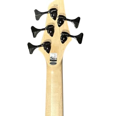 Dingwall Combustion 5, Whalepool Burst w/ Pau Ferro B STOCK (Cannot Find Flaw) *In Stock!** image 11