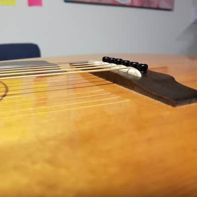 Immagine Hohner HG-905 - 21