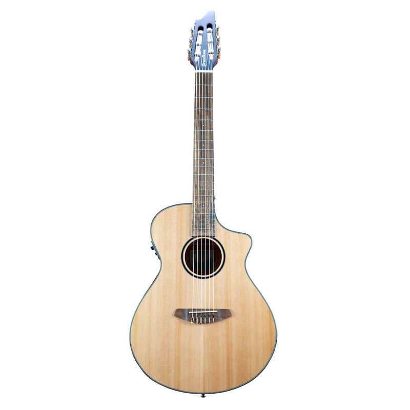 Breedlove Discovery S Concert CE Nylon image 1