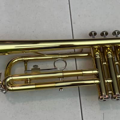 Unbranded Bb Trumpet — Excellent Condition + Case + Accessories image 3