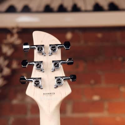 Dragon Fly Border B6 Custom - Great Bass VI! image 7