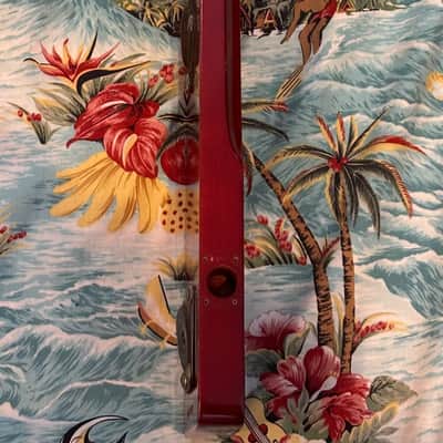 1950s - 1960's Rickenbacker Electro Model 100 Lap Steel Husk Project image 3