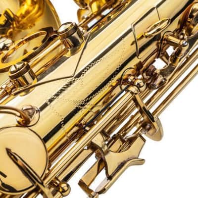 Golden Black Alto Eb Saxophone Sax Gold w/ Case Mouthpiece & Accessories image 4