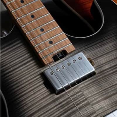 Cort G290 FAT II, Roasted Maple Neck & Fretboard, Transparent Black Burst image 14