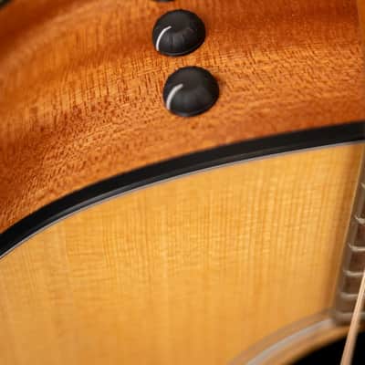 Taylor 114ce Grand Auditorium Acoustic-Electric Guitar with Structured Gig Bag image 13