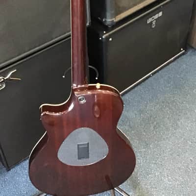 Taylor T5-C1 Thinline 5 Way Acoustic Electric w/ Hard Case image 6