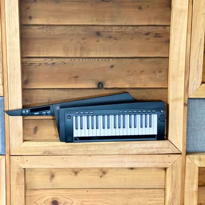 Korg RK100S2 37-Key Keytar - Black