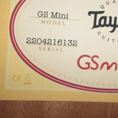 Taylor GS Mini image 10