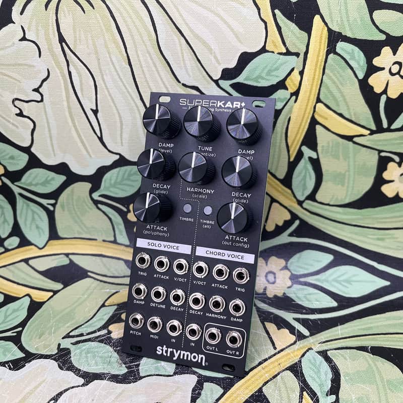 Strymon SuperKar+ 32 Voice String Synthesis image 1