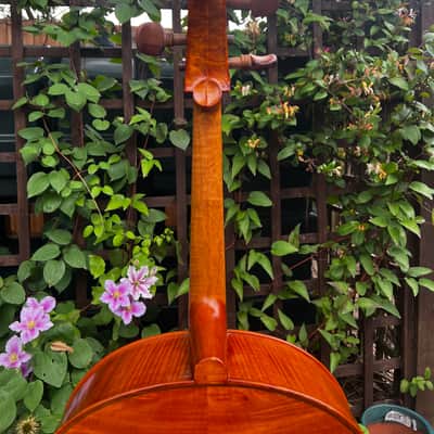 Italian-American Cello By Vittore Giardinieri 1989 image 7