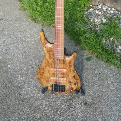 Roscoe SKB 3005 Custom 5 string bass guitar image 3