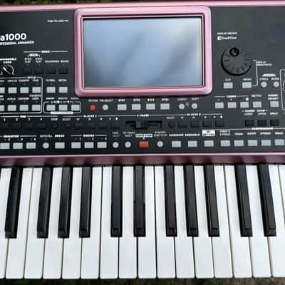 Korg Pa900 with Korg Pa1000 body kit image 3