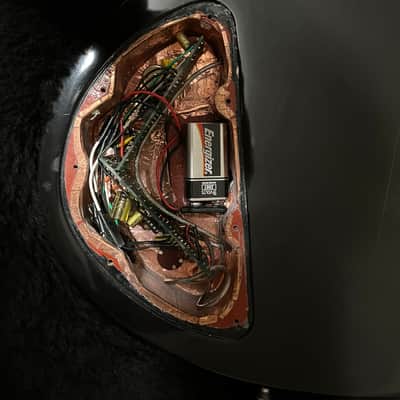 Custom 12-string Bass image 8