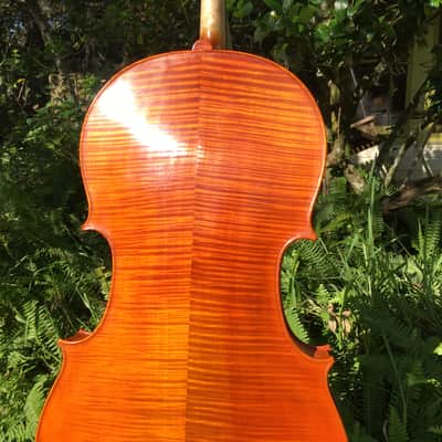 Tenor Violin (half-size cello tuned GDAE) image 8