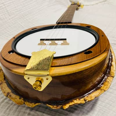 Turtle shell tenor banjo image 6