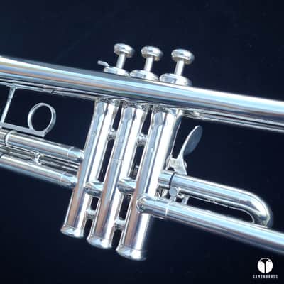 Vintage King Silverflair 1055T 0.462 Large Bore  GAMONBRASS case mouthpiece image 19