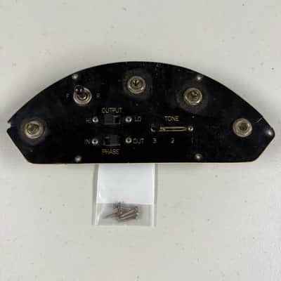 Gibson Les Paul Triumph or Recording Bass Complete Control Plate (E-327) image 1