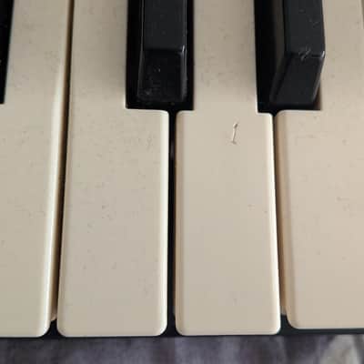 Fender Rhodes Chroma Polaris Analog Synthesizer MIJ 80s Vintage LOOK image 11