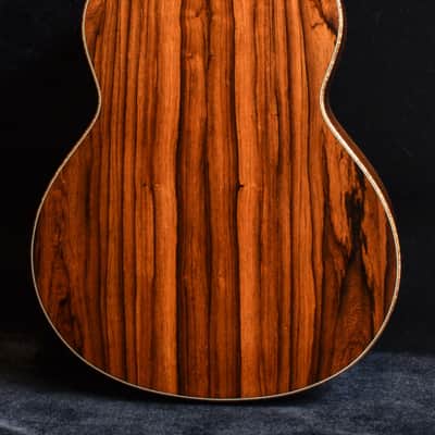Baden - American Made TJ Baden Guitar Madagascar image 1
