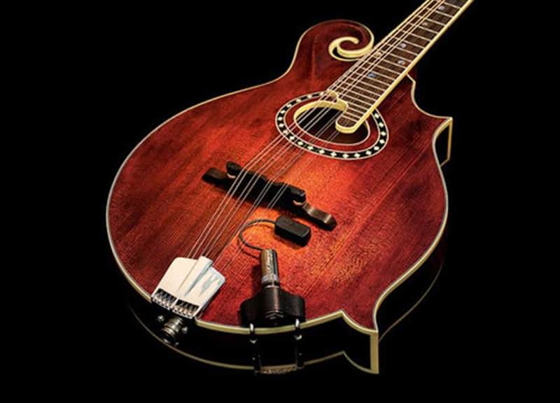 LR Baggs Radius Mandolin Pickup image 1