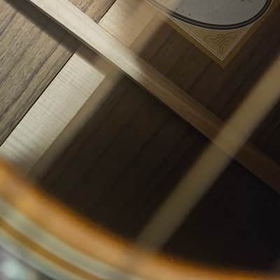 Taylor 414ce Special Edition-SEB Grand Auditorium Acoustic/Electric 2017 image 11