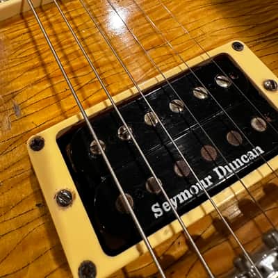 Nash Reliced Les Paul AFD Conversion image 5