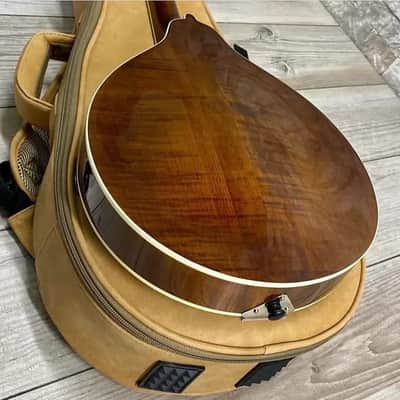 Kentucky KM-256 Deluxe A-Style Mandolin WITH Matching Kentucky Deluxe Gig Bag– Transparent Brown image 6