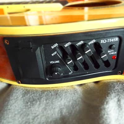SG Style Acoustic-Electric image 6