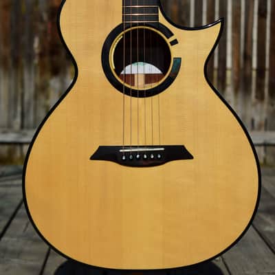 2018 TreeHouse OMZ Cutaway Acoustic Guitar | Cocobolo & Adirondack Spruce image 1