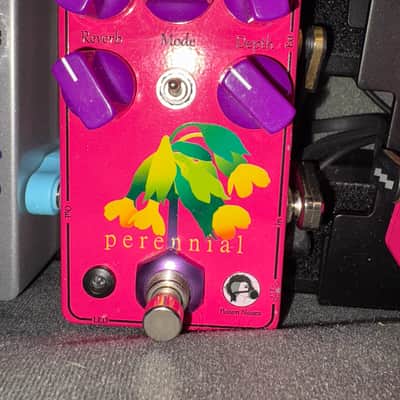 Poison Noises Perennial Chorus and Modulated Reverb image 1