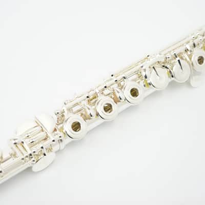 Muramatsu GX-RHE 「GX-RBE」 Open hole, H(B) foot, split E mechanism, offset G / made in Japan image 6