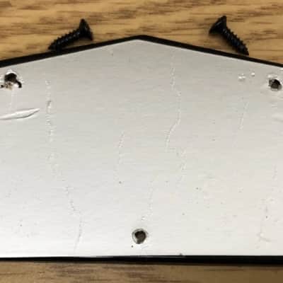2016 Epiphone Les Paul Special II Control Cavity Cover With Screws image 2