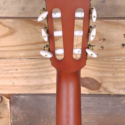 Ibanez FRH20SMN Nylon Acoustic/Electric Guitar Tobacco Burst image 7