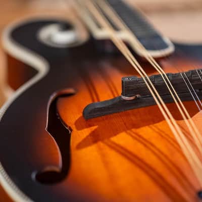 Washburn #M3SEBRK F-Style Solid Top Mandolin With Pickup, Satin image 11