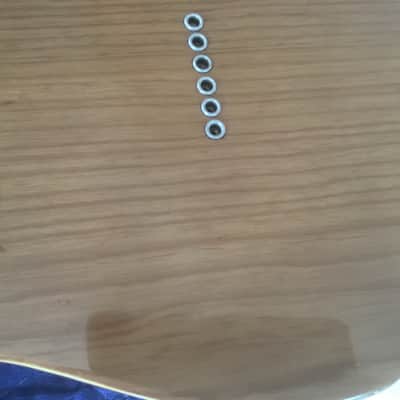 Fender Telecaster Thinline 1973 - 1978 - Walnut (Mocha) image 6
